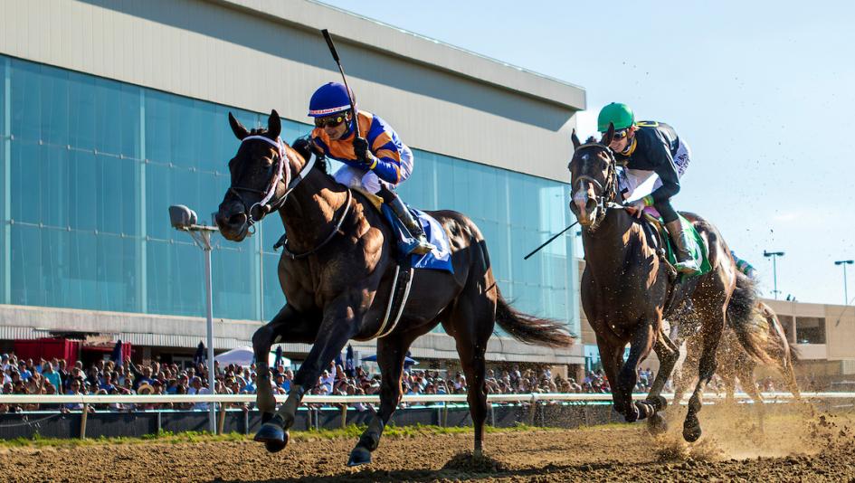 2026 Ohio Derby, Thistledown, Chip Honcho, Jose Ortiz, Ocelli